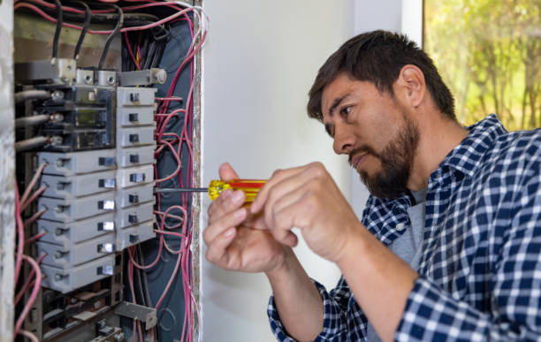 Best Electric Panel Repair  in Milford, DE